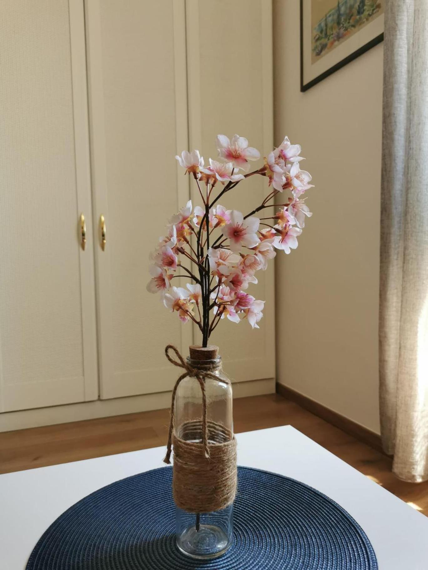 Oasis Apartment 扎达尔 外观 照片